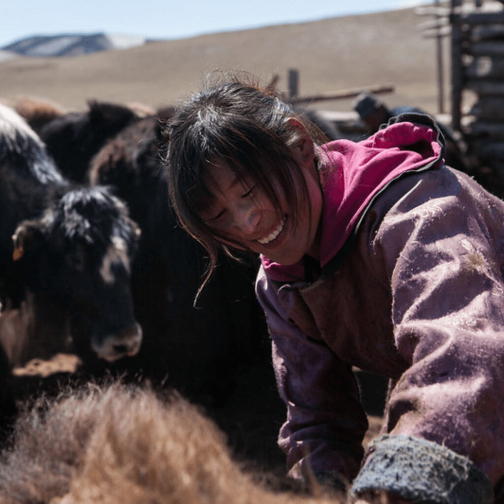 Éleveuse de yacks en Mongolie