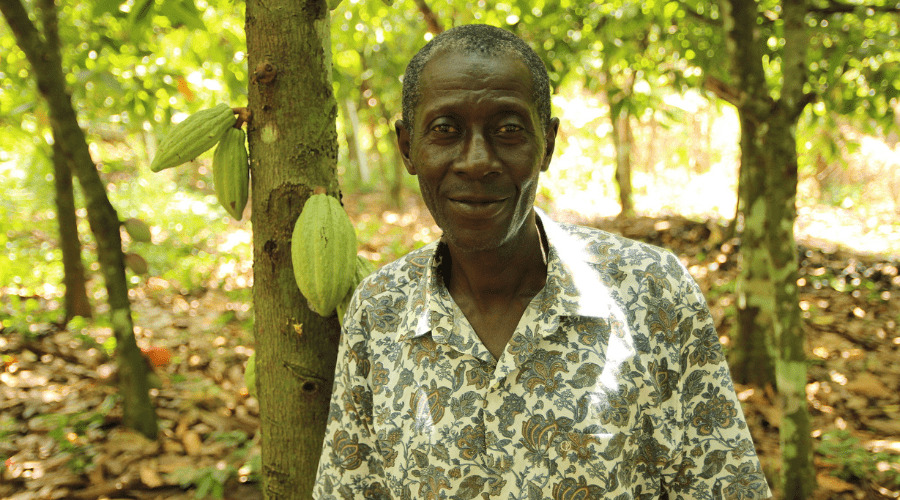 Producteur de cacao de la coopérative CAMAYE en Côte d'Ivoire