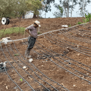 Micro-irrigation au Guatemala