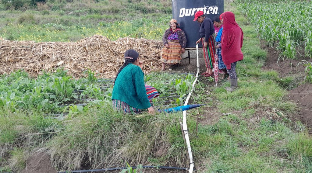 Sistemas de riego campesino para combatir la sequía en Guatemala