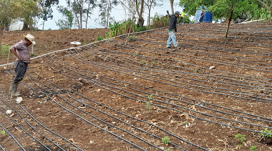 Sistemas de riego campesino Guatemala