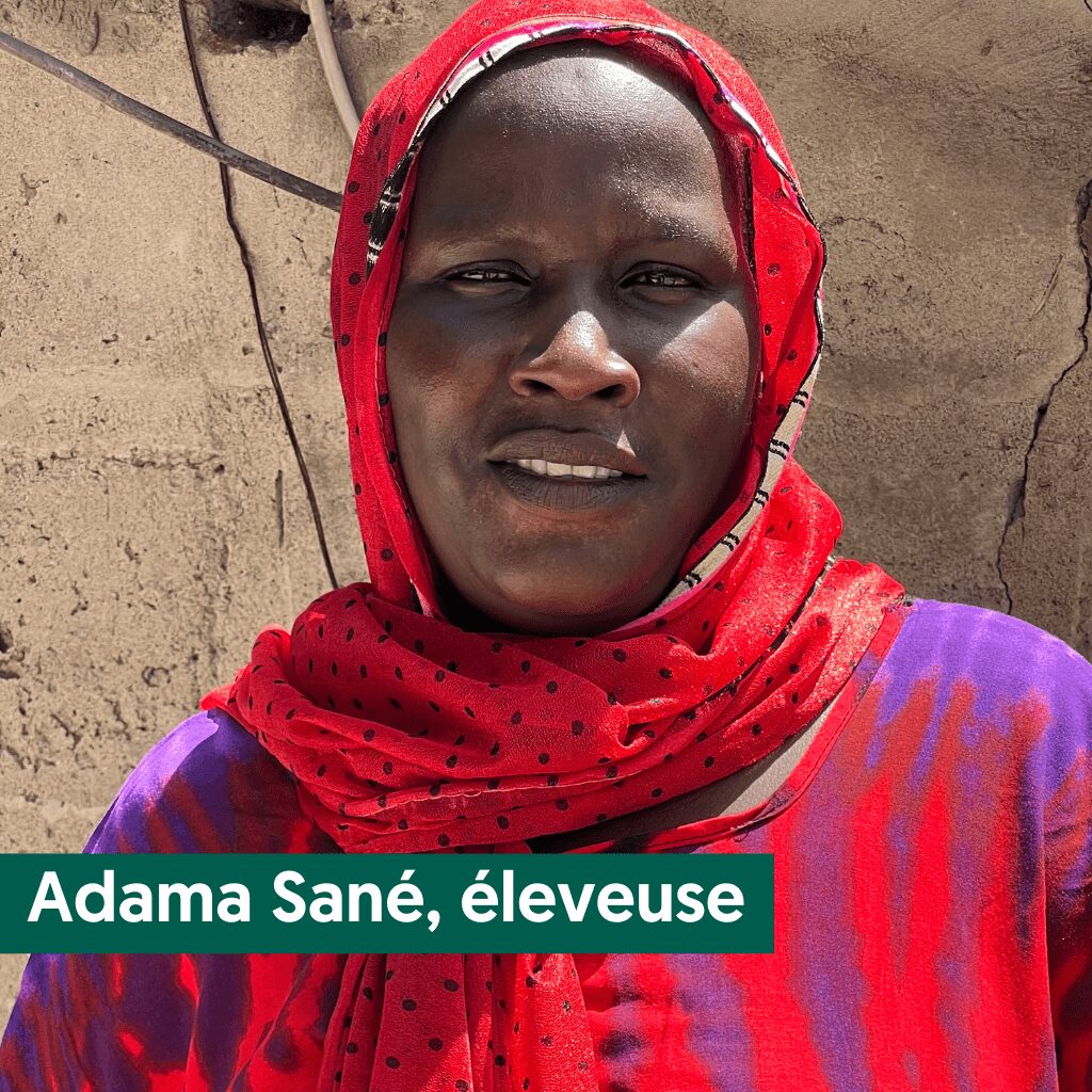 Adama Sané, éleveuse