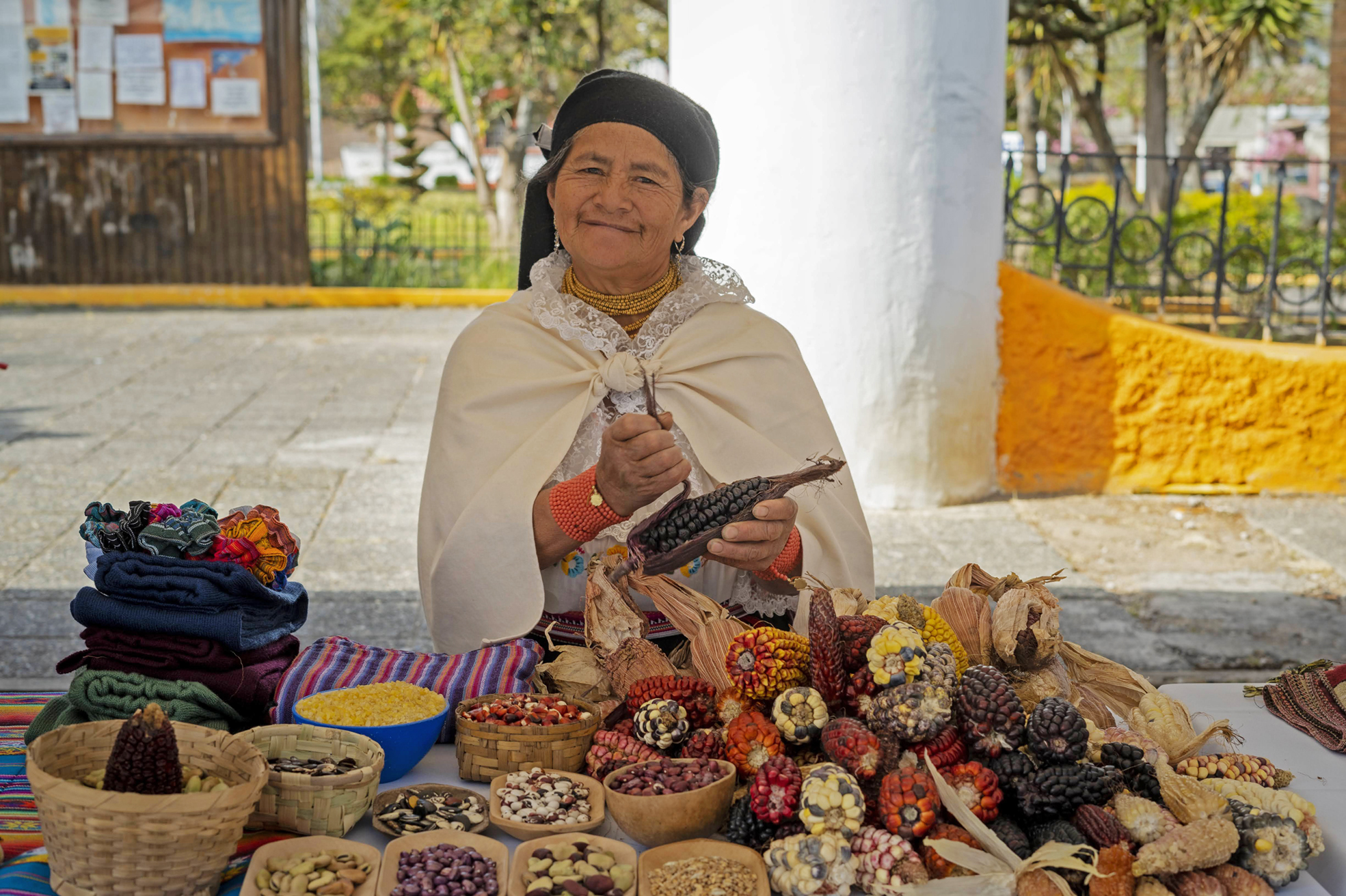 UN FESTIVAL DE SABORES SEMILLAS Y TRADICIONES