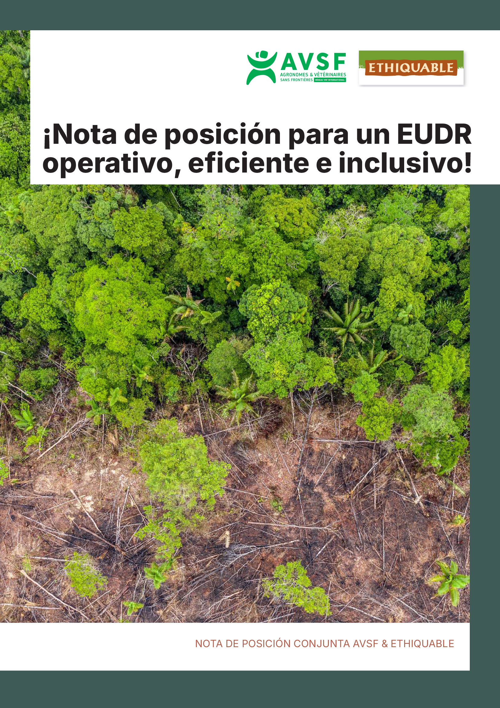 RDUE Por un reglamento europeo contra la deforestación operativo eficiente e inclusivo