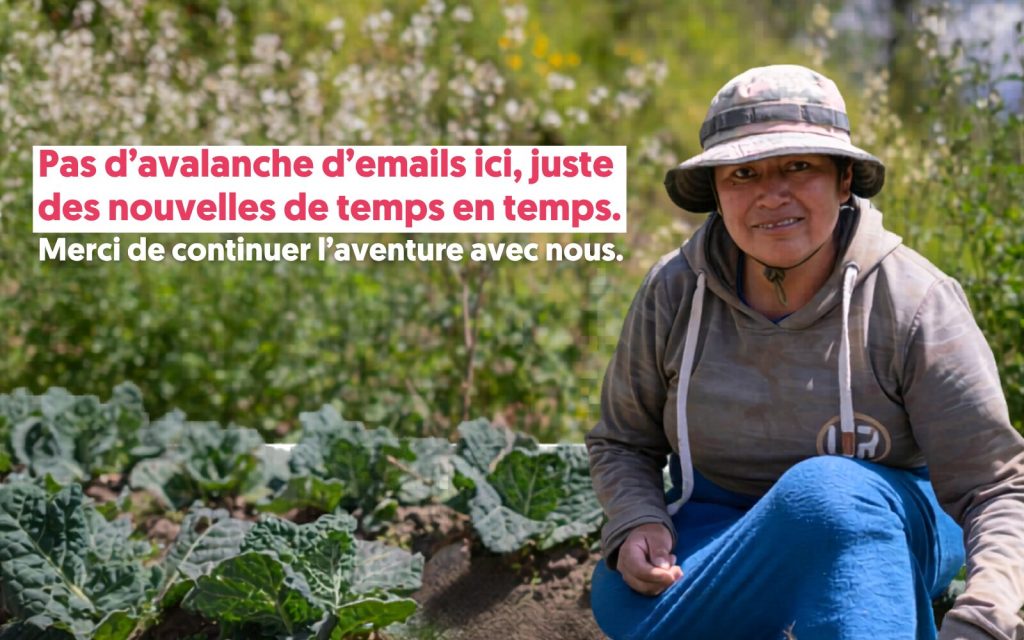 Pas d'avalanche d'emails ici, juste des nouvelles de temps en temps. Merci de continuer l'aventure avec nous.