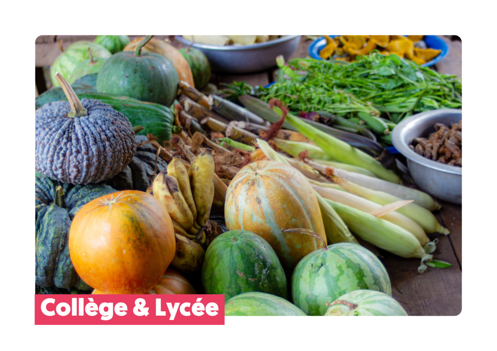 Alimentation durable