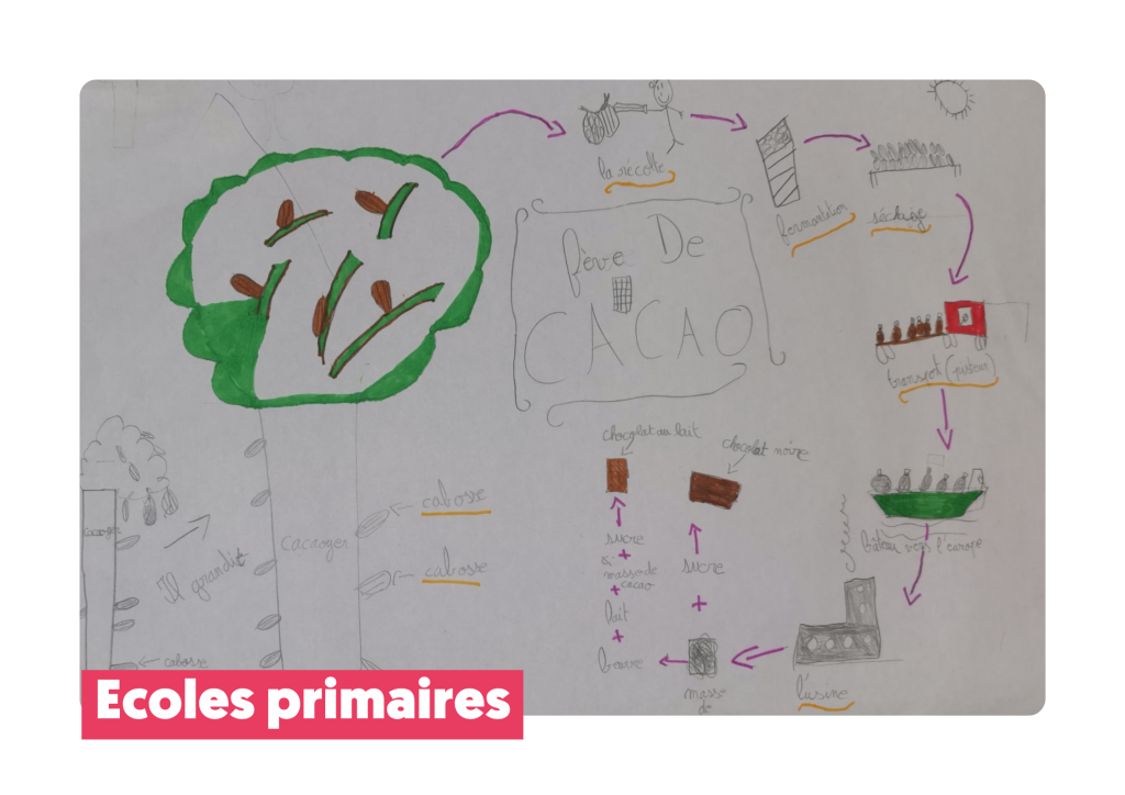 Sensibilisation écoles primaires