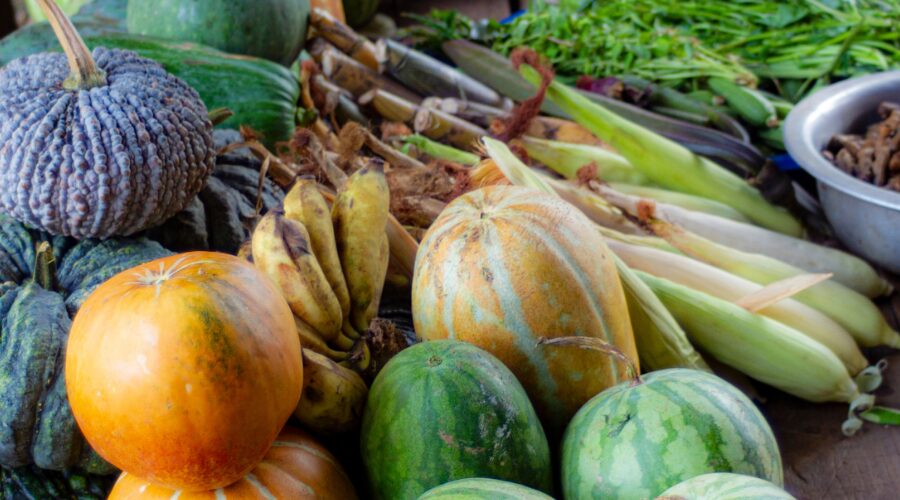 AVSF Junior - Faim et alimentation durable