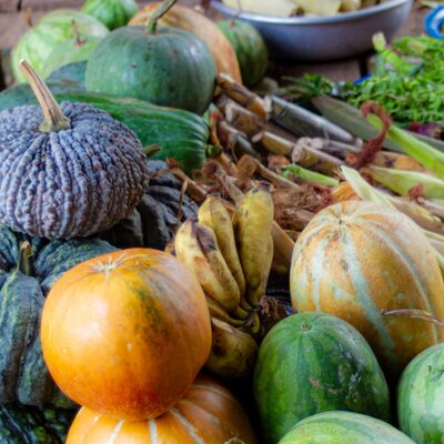 AVSF Junior - Faim et alimentation durable