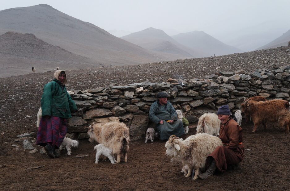Nomads 4 Life Project