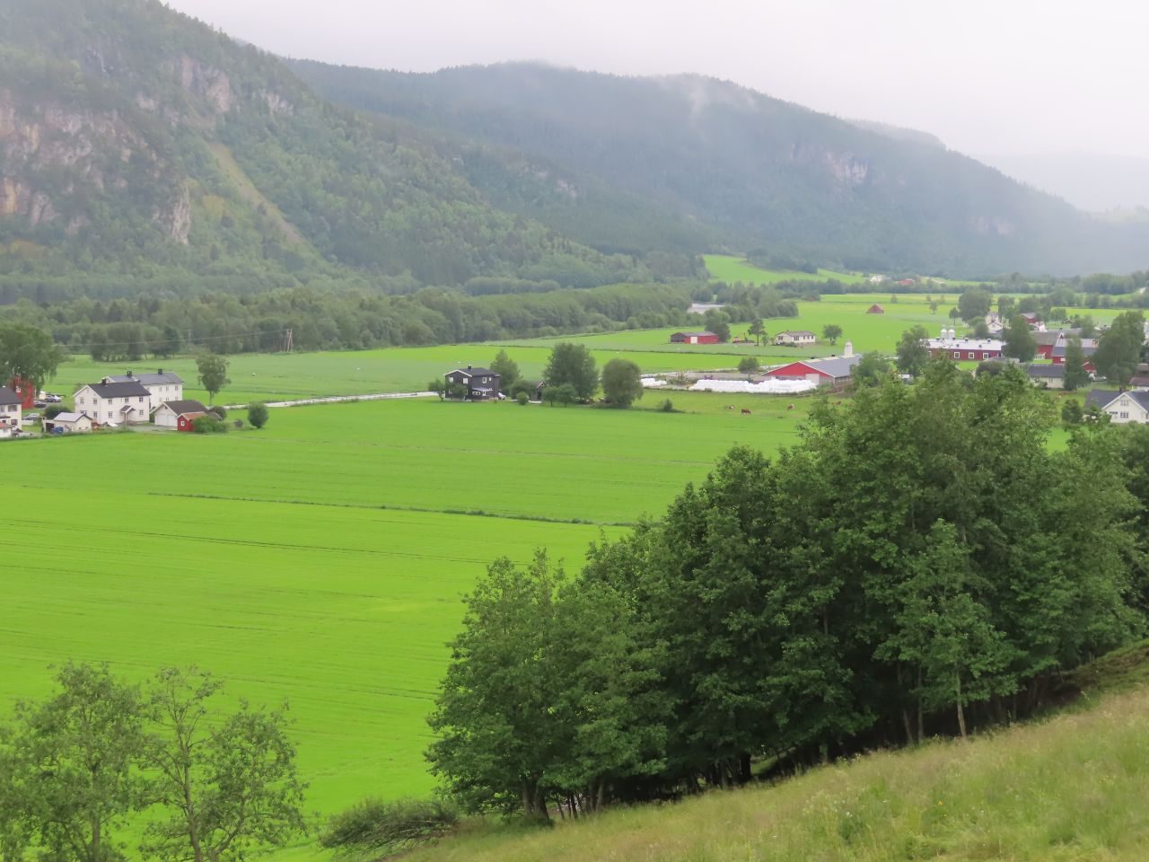 Meslo farm Meslo farm